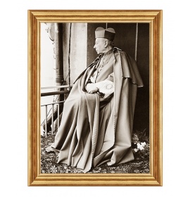 Kardynał Stefan Wyszyński - 10 - Obraz religijny