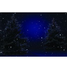Boże Narodzenie - Tło szopki - 25 - Baner religijny - 300x200 cm