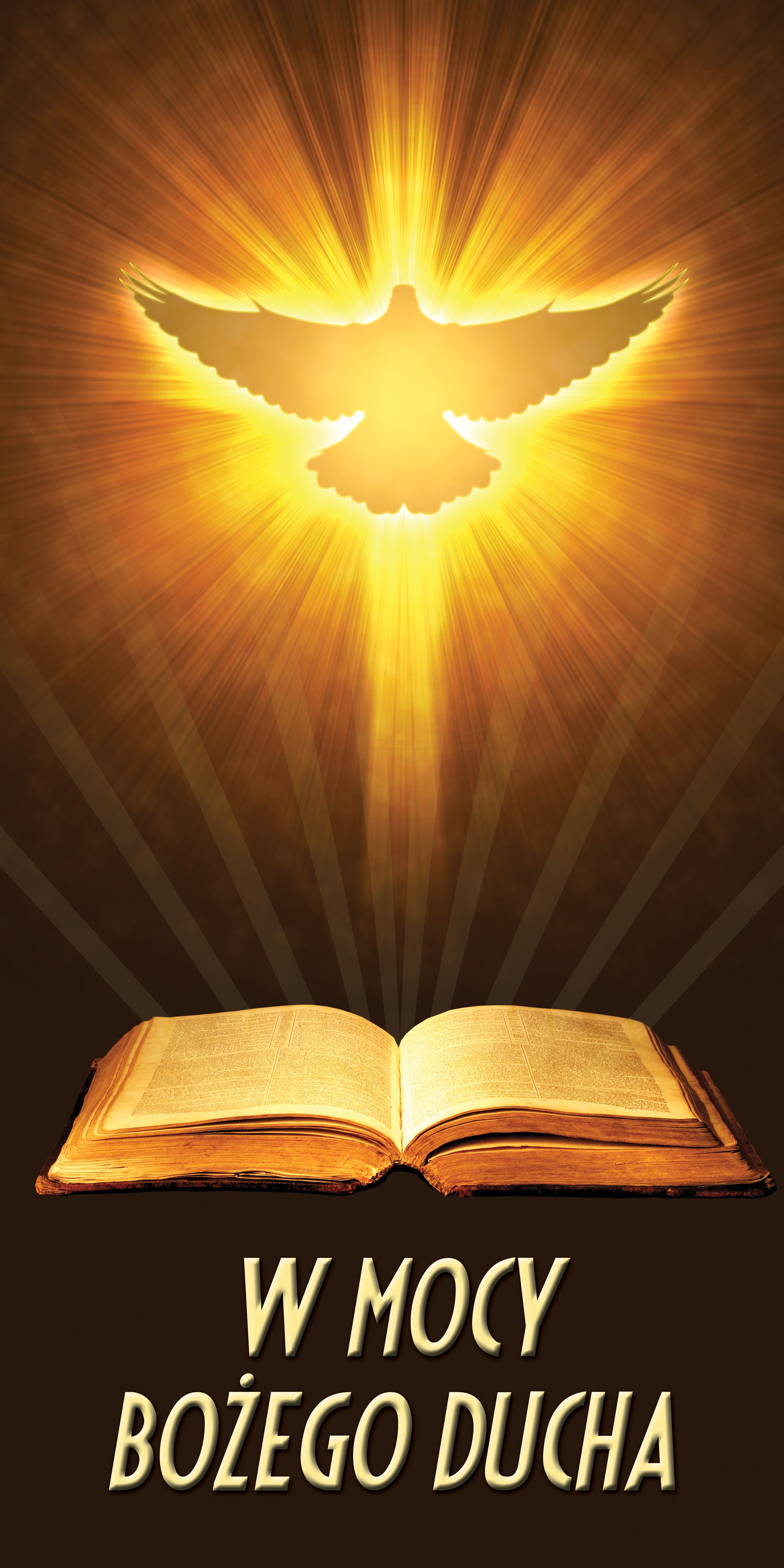 W mocy Bożego Ducha - 01 - Baner religijny - 100x200 cm