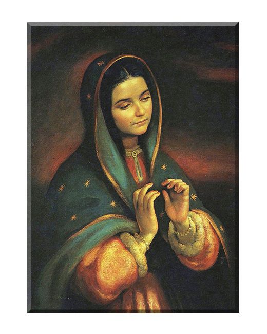 Matka Boża z Guadalupe - 04 - Obraz religijny
