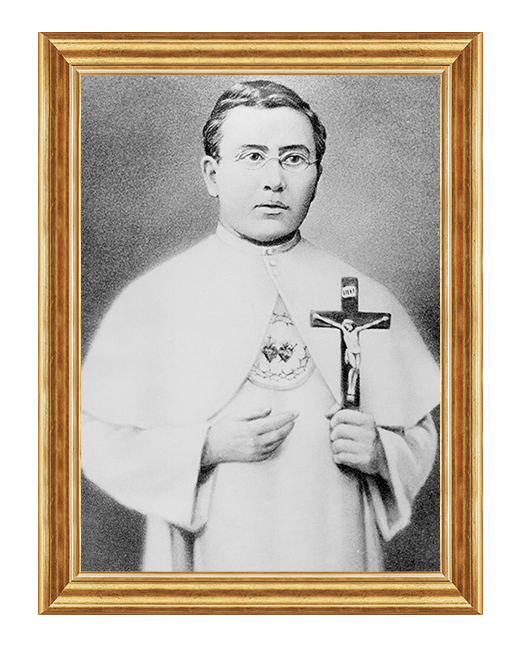 Święty Damian De Veuster - 03 - Obraz religijny