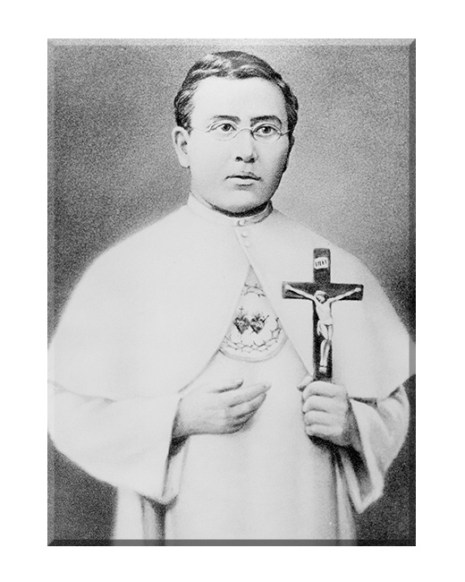 Święty Damian De Veuster - 03 - Obraz religijny