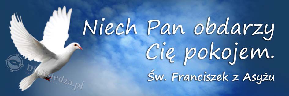 Święty Franciszek z Asyżu - 01 - Baner religijny - 310x110