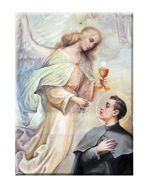 Święty Stanisław Kostka - 05 - Obraz religijny