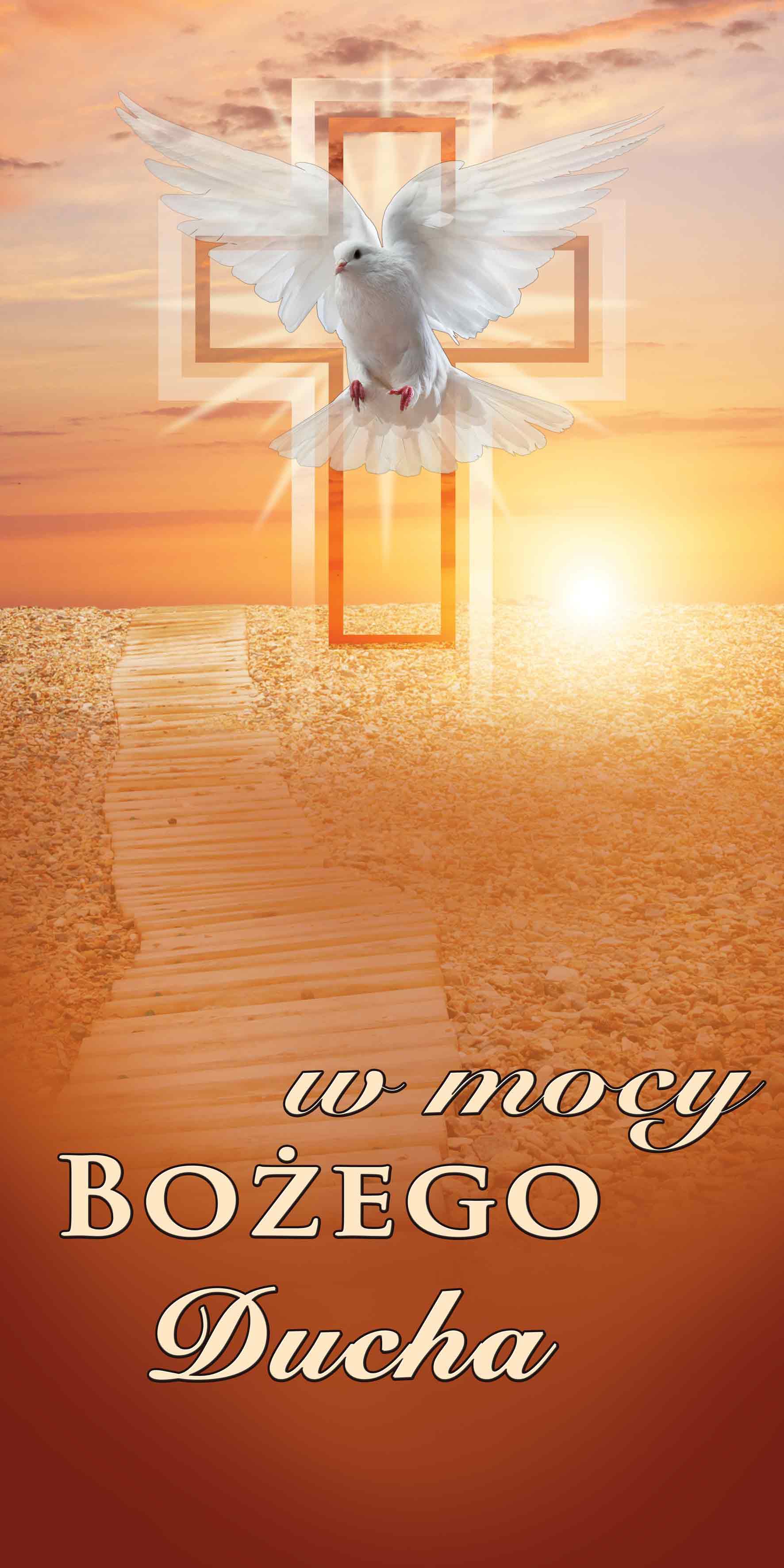 W mocy Bożego Ducha - 02 - Baner religijny - 100x200 cm