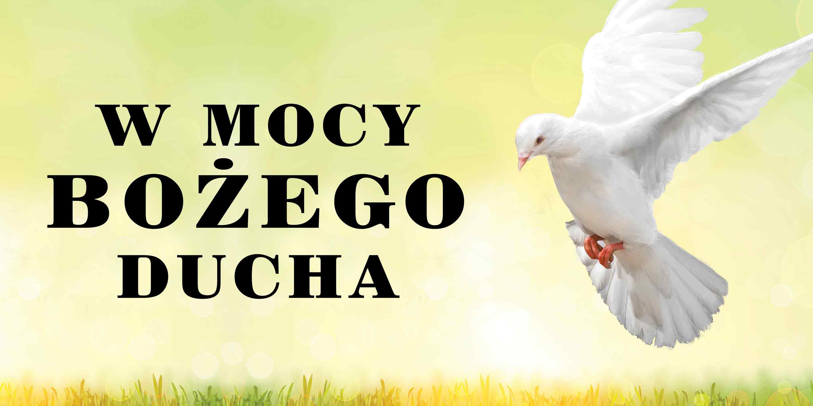 W mocy Bożego Ducha - 18 - Baner religijny - 200x100 cm